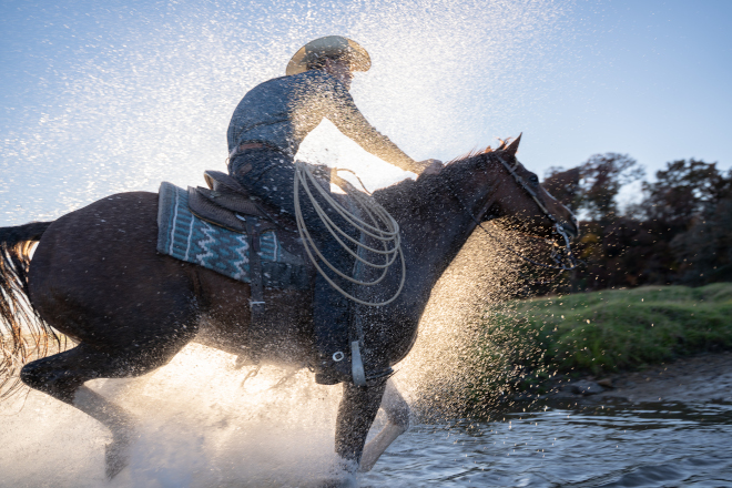 Man on horseback, as seen from behind