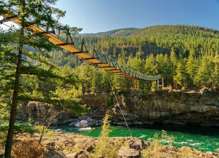 Kootenai National Forest Bridge Trail